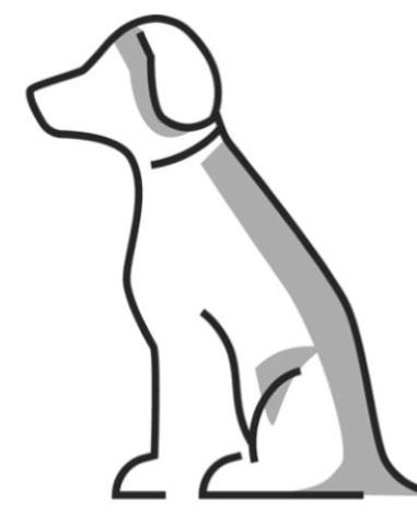 Dog Training Is My Passion!