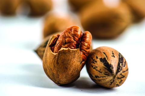 2025 Central Regional Pecan Show Results