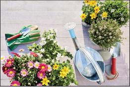 Horticulture Checklist for Spring - webinar
