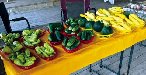 These colorful vegetables are from Jody and Kim Lewis’ booth last Saturday at the Richland Springs Market. Courtesy of Jody Lewis