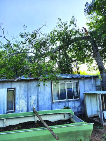 Strong winds topple tree down on this house on North 9th Street in San Saba County.  Photo submitted by Martha L Chavarria Ferrer
