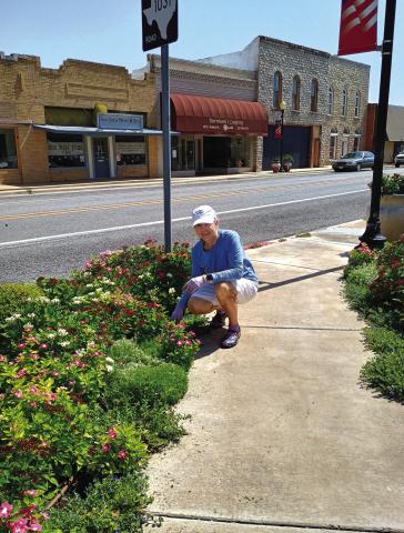 Kathleen Hawkins of Keep San Saba Beautiful (KSSB) spent her early Monday morning hours cleaning up the flower beds in front of the courthouse. Thanks, Kathleen, and thank you, KSSB! Photo by Djuana Payton