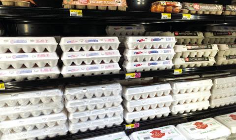 Cartons of eggs inside a Brookshire Brothers in College Station on January 23. Michael Miller/Texas A&amp;M AgriLife Communications