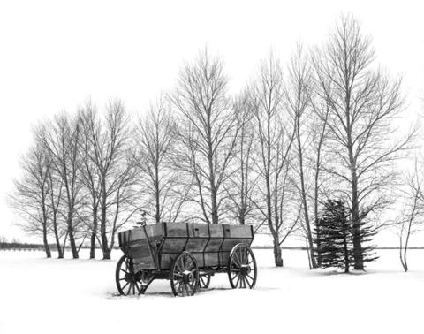 Oxen cart abandoned