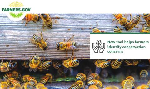 New Farmers.gov Conservation Concerns Tool provides customized support for America’s farmers and ranchers
