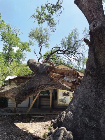 Colorado Bend State Park headquarters building