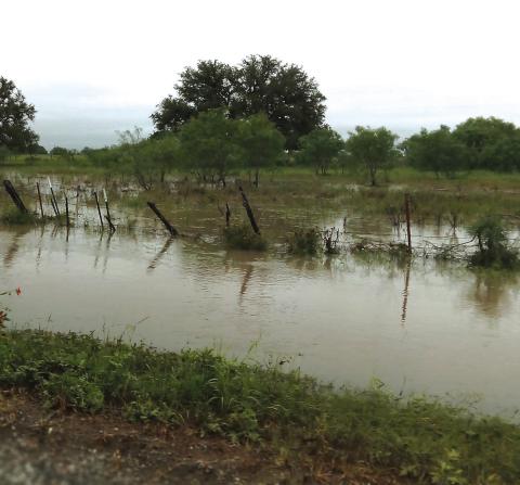This photo was taken in San Saba County on FM 1480 this past Sunday morning. Courtesy of Carolyn Boswell Preece
