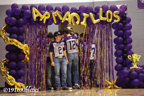 Meet The Dillos
