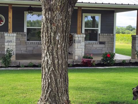 July Yard of the Month