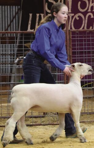 Several RSHS student participants from the San Saba County Livestock show