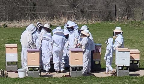 Families watch as a beekeeper examines a hive, looking for the queen and honey amid the worker bees.