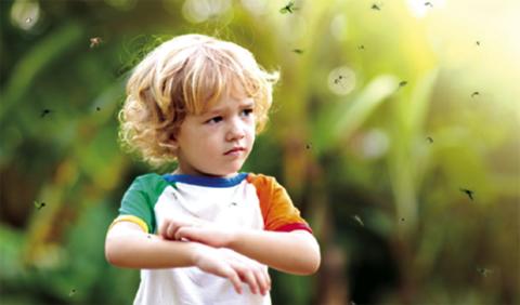 Five Natural Ways to Repel Bugs