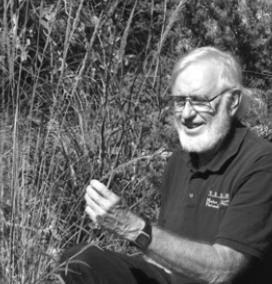 Hill Country Naturalist