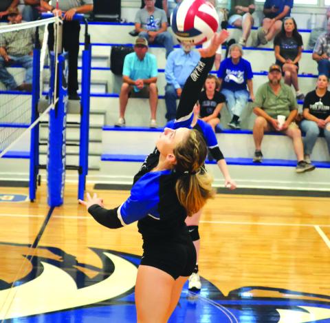 #11 Rylie Eckert