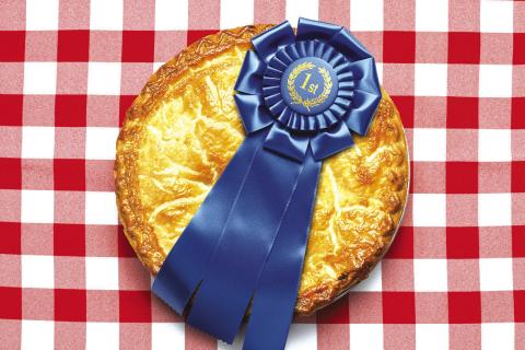 26th Annual Stars and Stripes Country Fair Bonanza competition