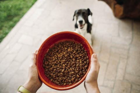 Tolbert says if dry food is stored in a plastic container, the container should be cleaned regularly to prevent contamination. Getty Images