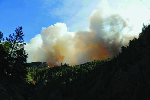 $236 million being allocated for wildfire management over the next year