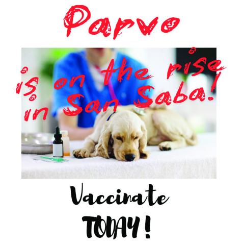 Pet Alert - Parvo on the rise