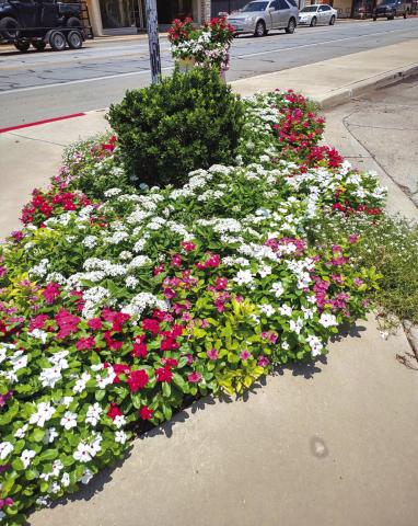 Downtown Flowers