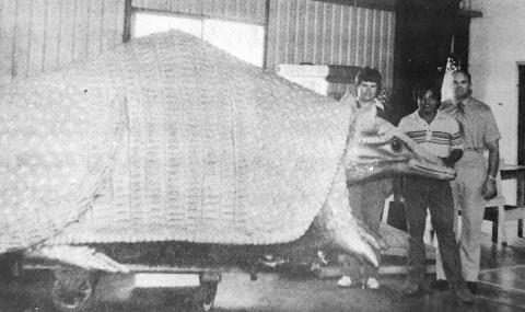 December 17, 1981: BRINGING HOME THE 'DILLO ––to San Saba High School were Roger Ellis, Ruben Cabrera and Larry Nettleship, school counselor. The trio made a trip to Austin recently to cart the 12x5x5.5 ft. mascot back to "Dillo City."