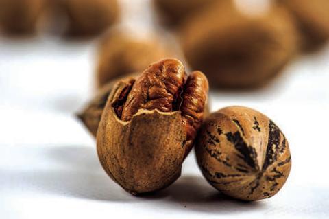 Central Regional Pecan Show Results