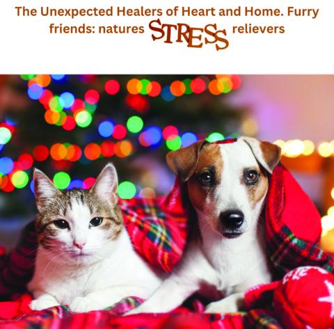 San Saba County Friends of Animals Where Compassion Meets Connection