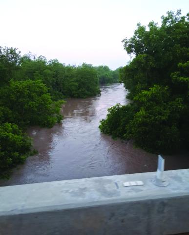 This photo of the San Saba River out of its banks was taken at Hwy 16 N in San Saba at 6:30 a.m. on June 5, 2025 by Carolyn Preece.