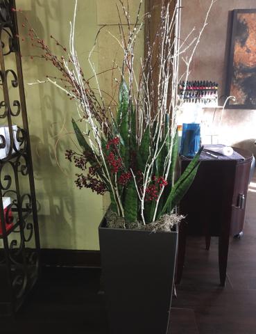 A houseplant with branches and berries from the landscape becomes holiday décor. Courtesy of MelindaMyers.com