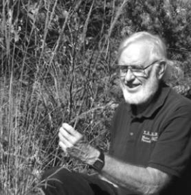 Hill Country Naturalist