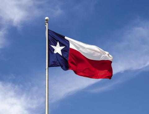Texas still top state for domestic migration
