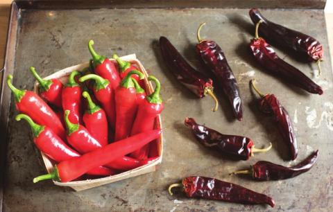 Red Ember F1 cayenne pepper is an All-America Selections (AAS) winner. Judges described this early maturing pepper as spicy, but tastier than traditional cayenne pepper varieties. (Photo credit: All-America Selections)